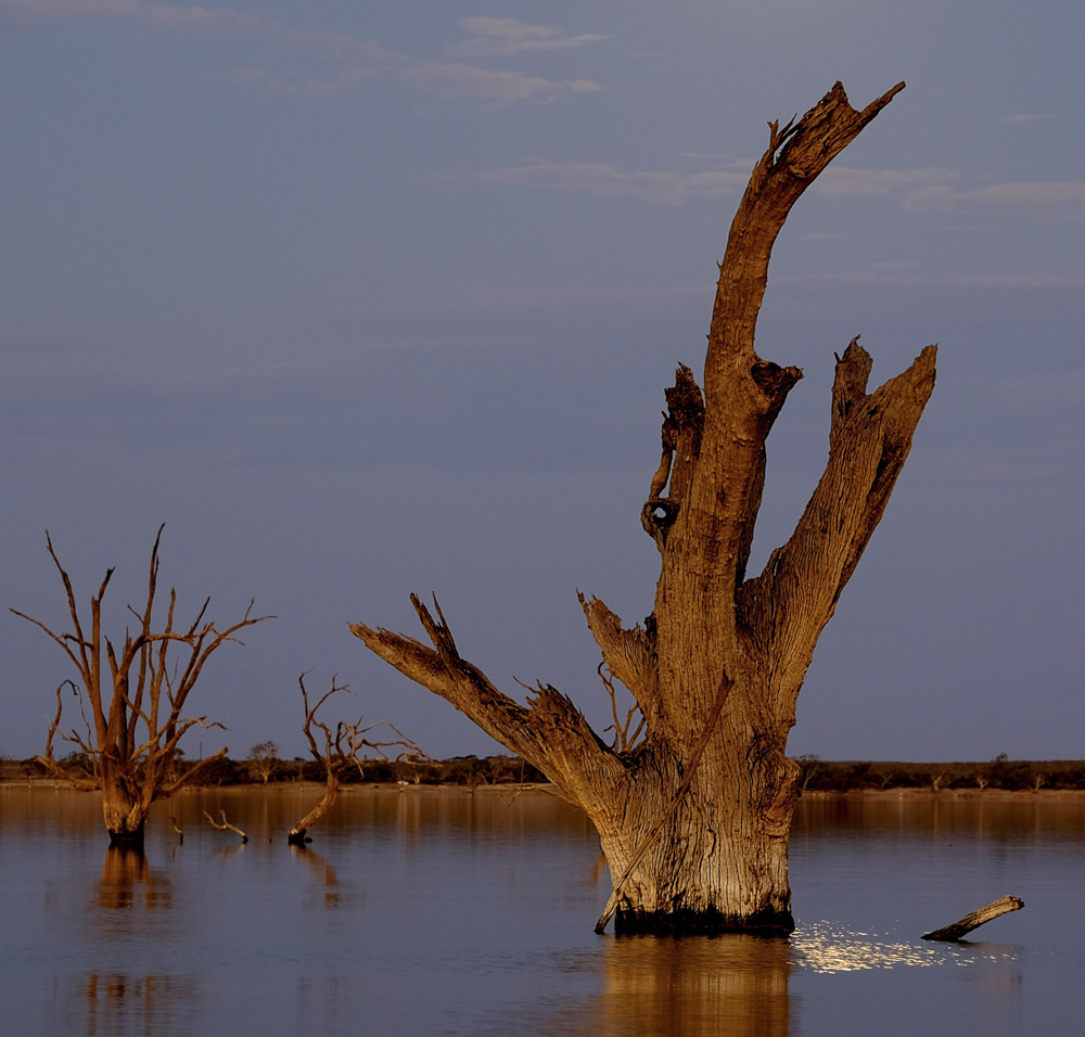 8. Platz Peter Marion